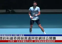 德约科维奇回塞尔维亚庆祝夺金